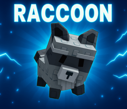Account have 1 Raccoon Random Age and KG